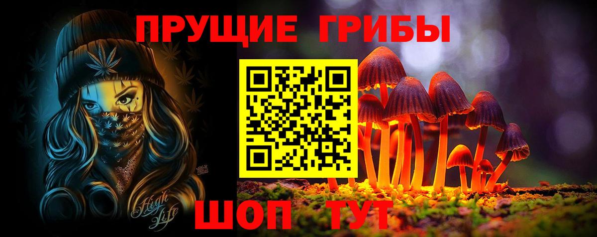 Псилоцибиновые грибы Psilocybe  купить  сайты  Канск  Вход с VPN  Галлюциногенные грибы ЛСД 