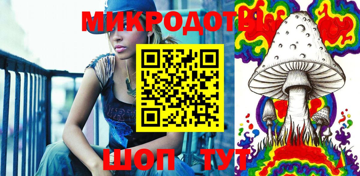 Псилоцибиновые грибы Psilocybe Канск